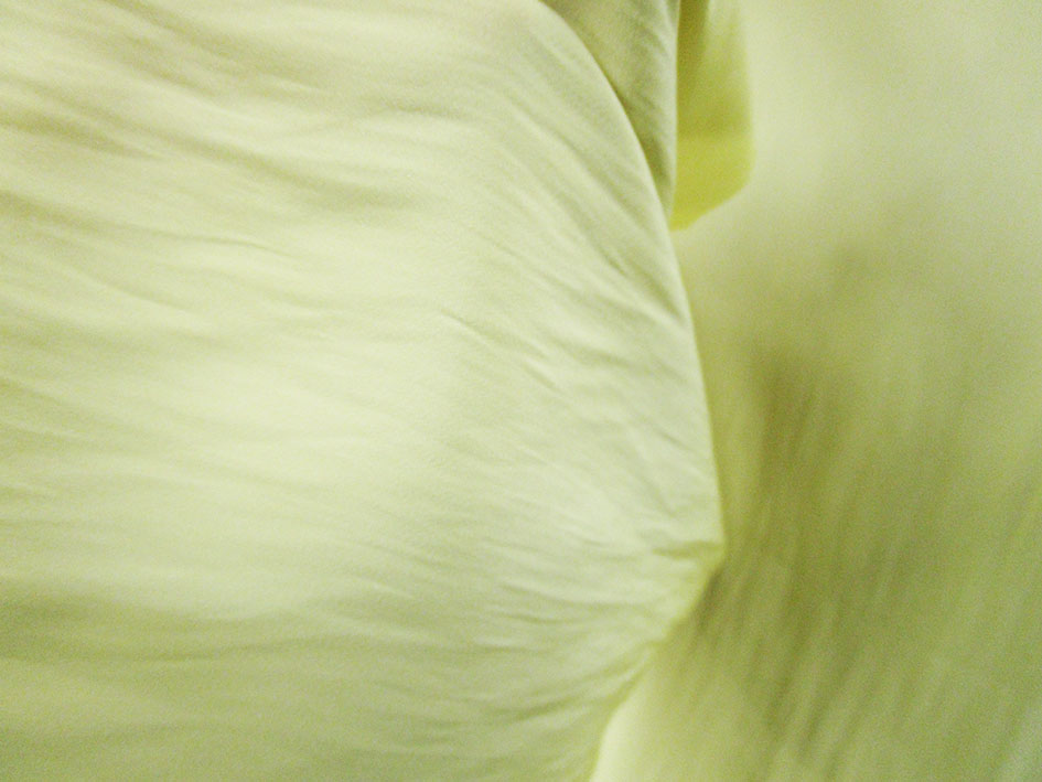 f:id:textile-net:20191122161122j:plain