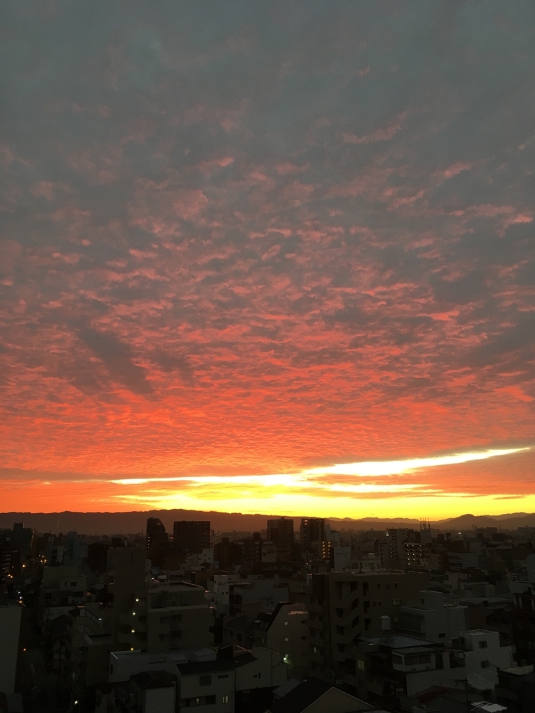 f:id:tezukayama-re55:20190110065637j:plain f:id:tezukayama-re55:20190110065637j:plain