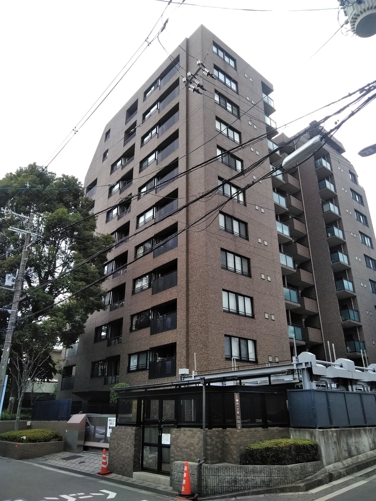 f:id:tezukayama-re55:20190217140918j:plain f:id:tezukayama-re55:20190217140918j:plain