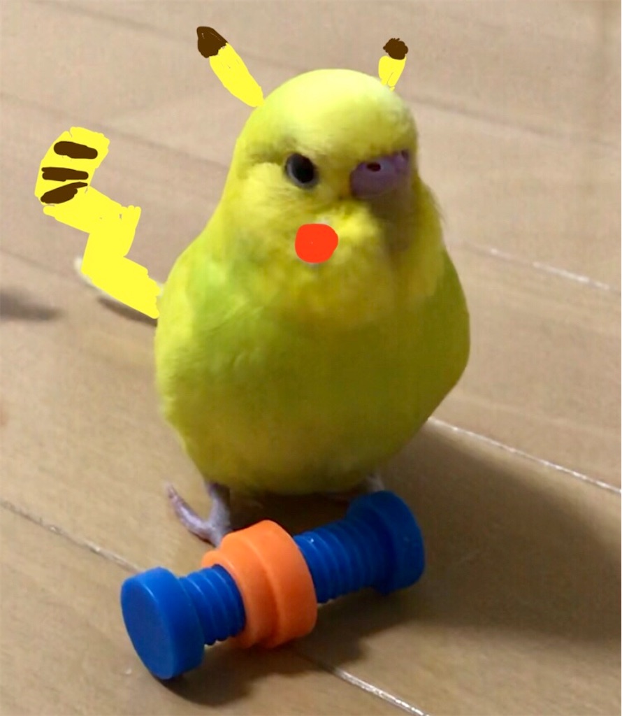 f:id:tf08250031Z:20200524135942j:image