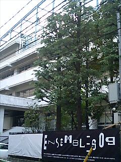 20091012233935
