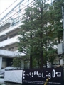 20091012233935