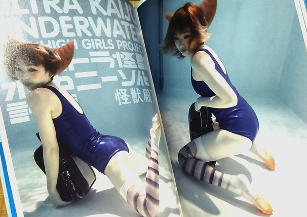 f:id:tfukumachi:20180821220050j:plain