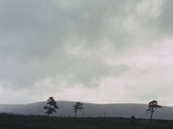 f:id:tfukumachi:20210310114536j:plain