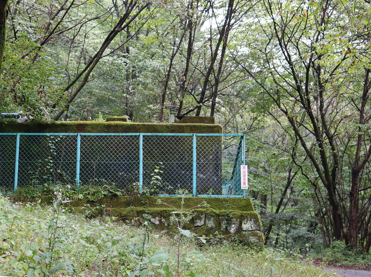 f:id:tfukumachi:20220105221807j:plain