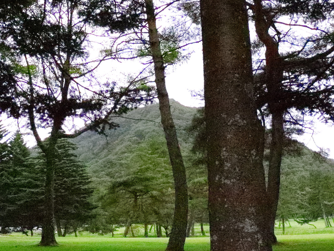 f:id:tfukumachi:20220111234818j:plain