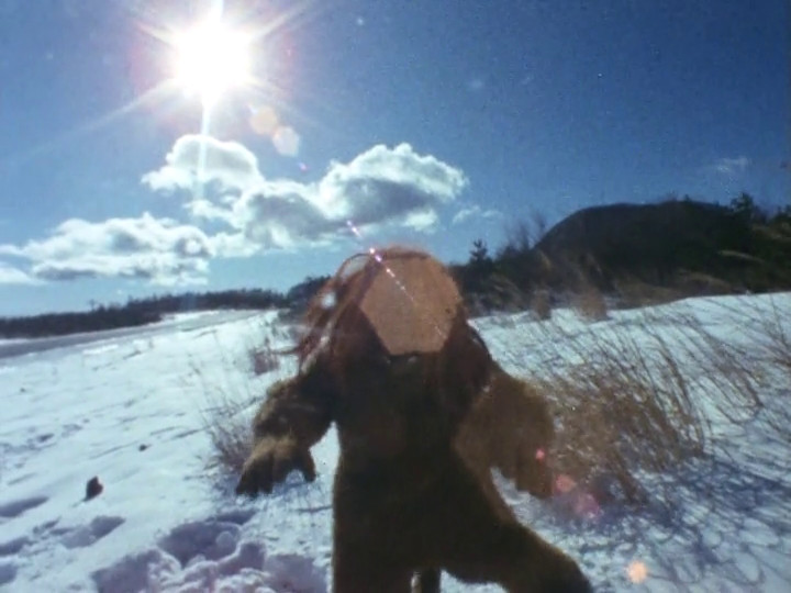 f:id:tfukumachi:20220205153813j:plain