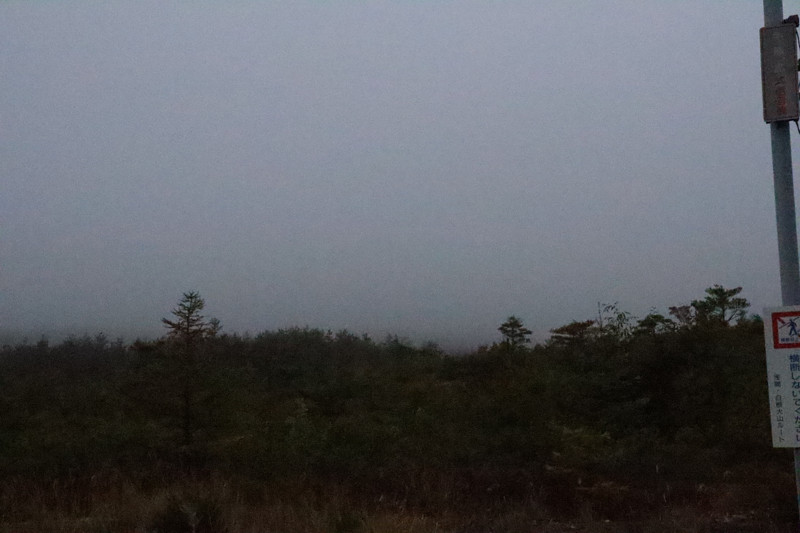 f:id:tfukumachi:20220205155121j:plain