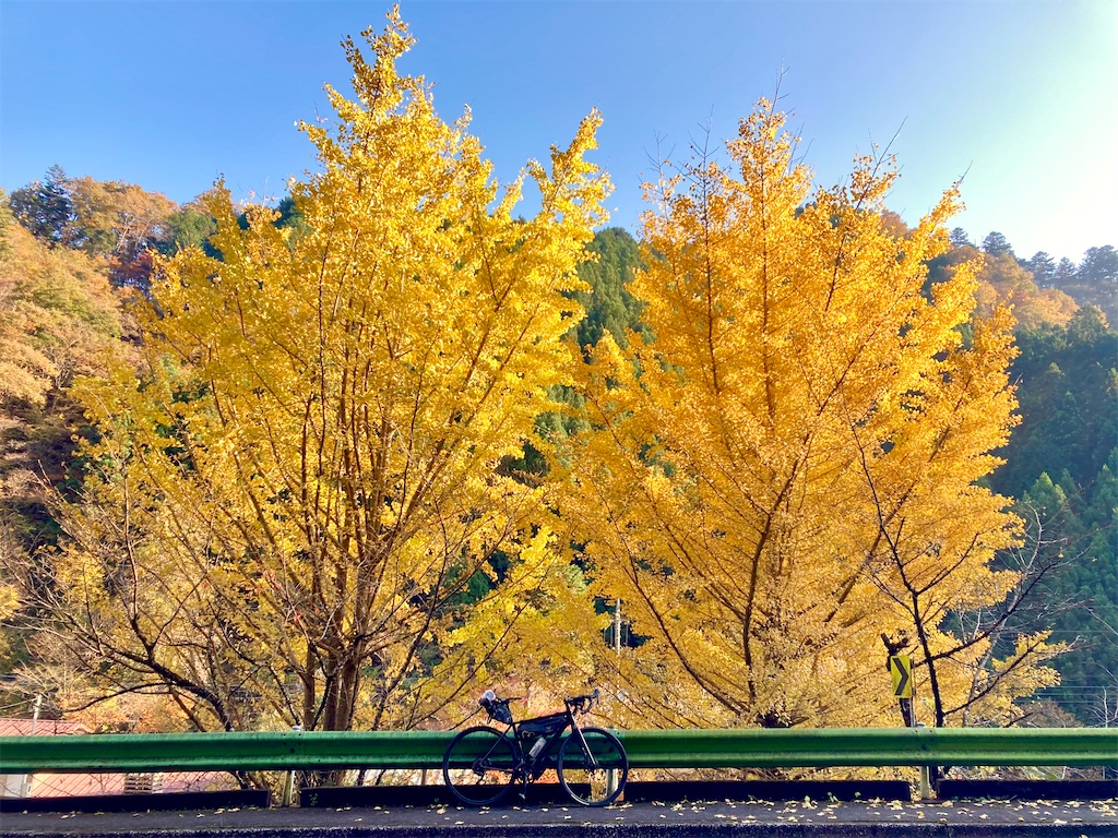 f:id:tgen:20201116095342j:image