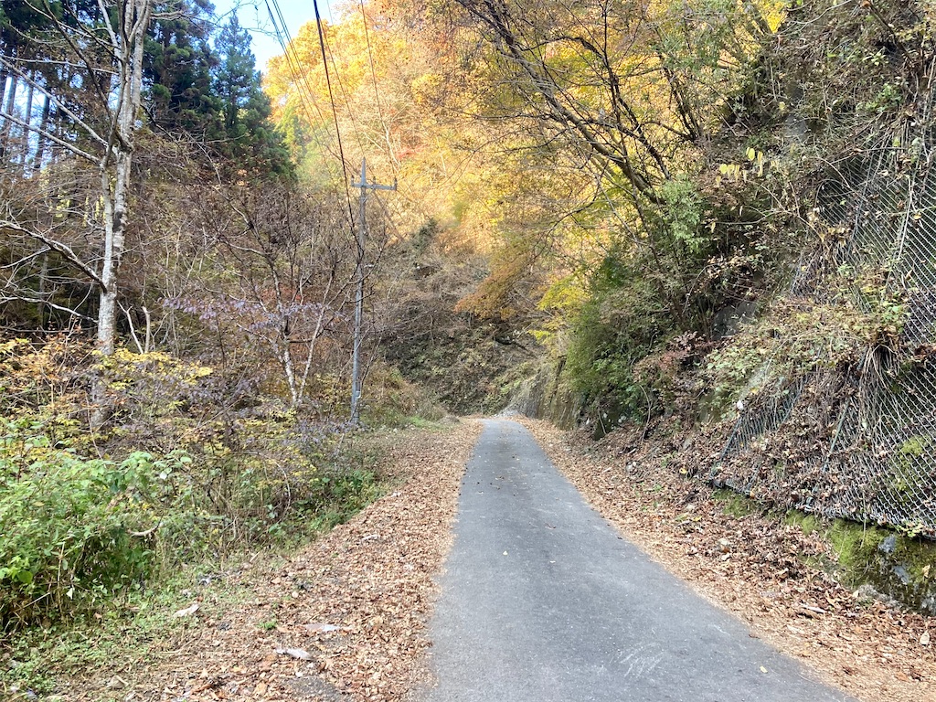 f:id:tgen:20201116095349j:image