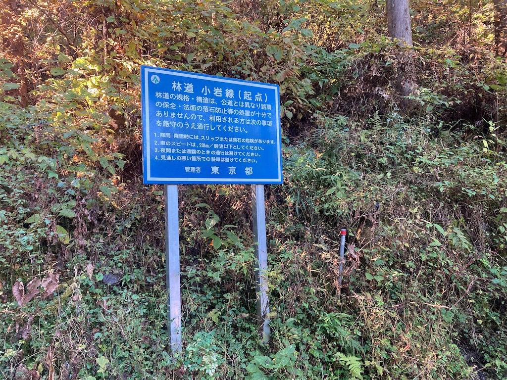 f:id:tgen:20201116095438j:image