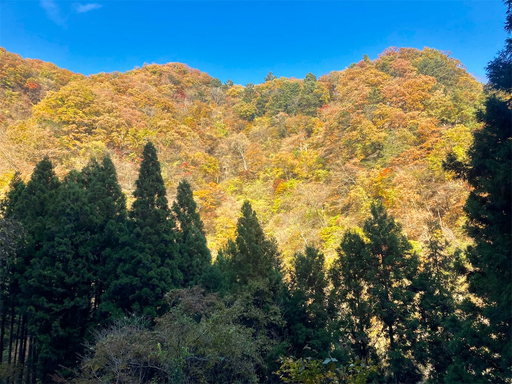 f:id:tgen:20201116095509j:image