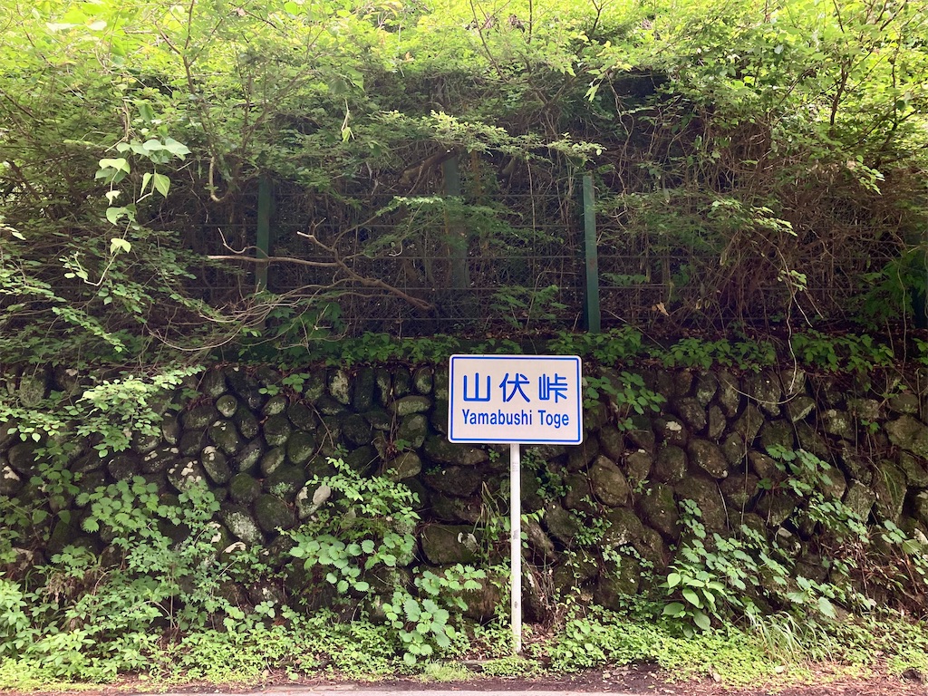 f:id:tgen:20260607101119j:image