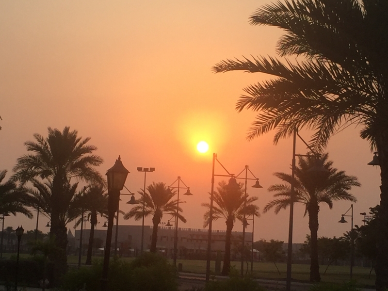 f:id:tgojobor:20161008120231j:image