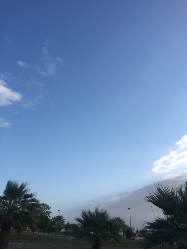 f:id:tgojobor:20170128144110j:image