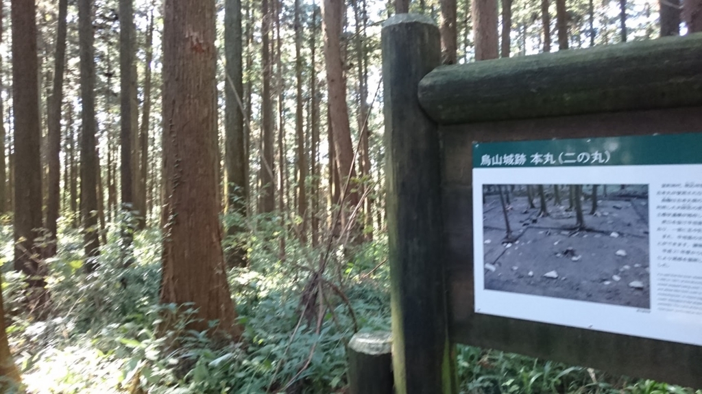 f:id:th-tanaka2:20170111091835j:plain