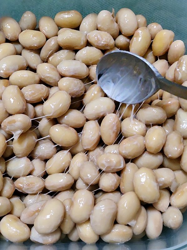自家製納豆が絶賛発酵中です！ - TH69のときど記ログ