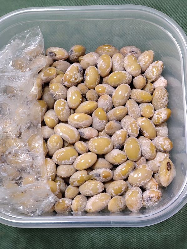 毛豆の納豆を仕込みました！ - TH69のときど記ログ