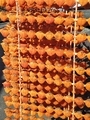 20251122163119