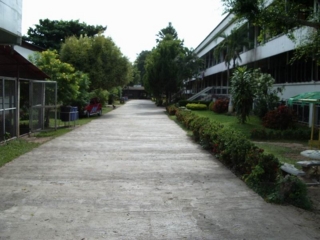 f:id:thai-blog:20040901090057j:image:left