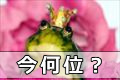 ブログランキングへ