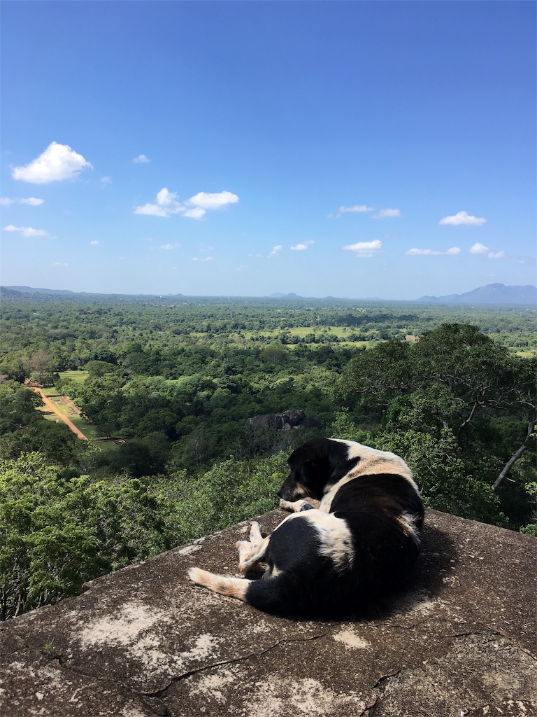 f:id:thaicurry:20170116164213j:image