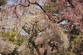 20110410124532
