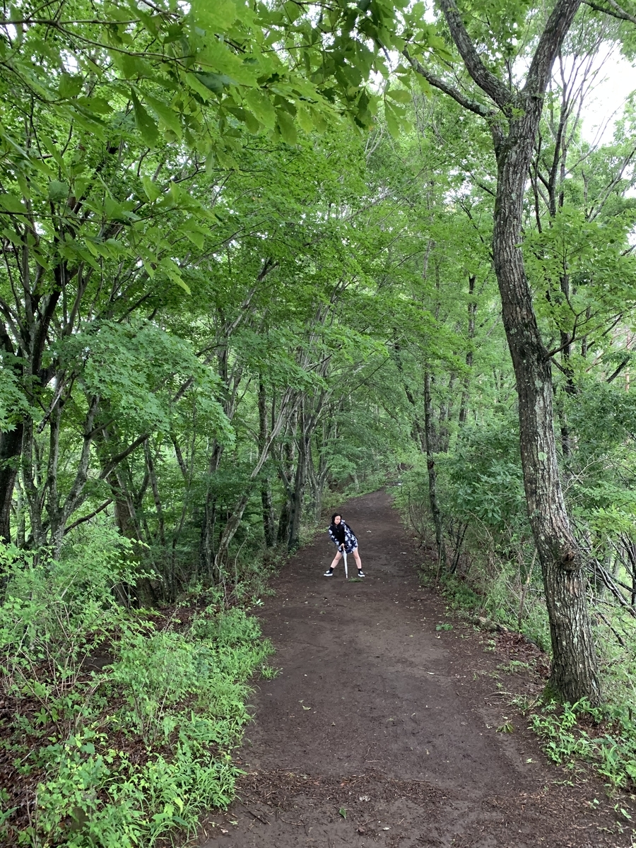 f:id:thanks_memories:20190818045844j:plain f:id:thanks_memories:20190818045844j:plain