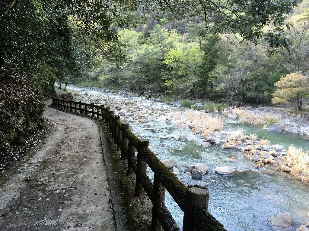 第２キャンプ場への通路（山野峡キャンプ場）