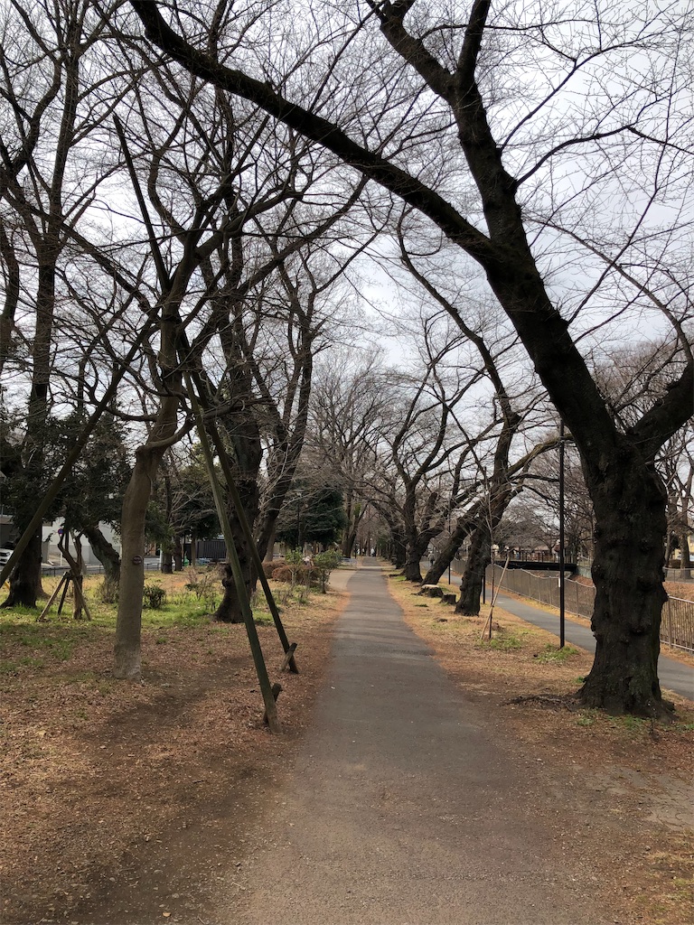 f:id:tharamoto:20220201174148j:image
