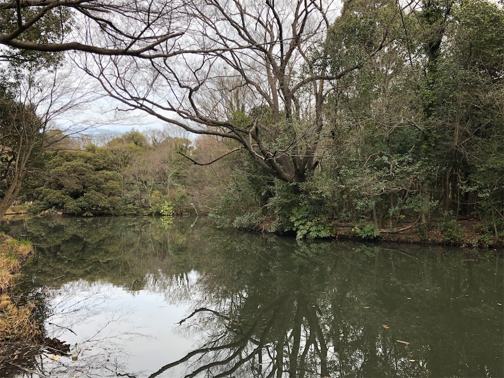 f:id:tharamoto:20220201174152j:image
