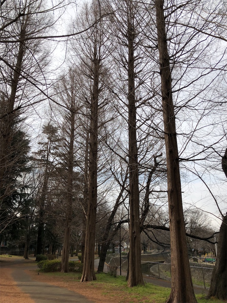 f:id:tharamoto:20220201174155j:image
