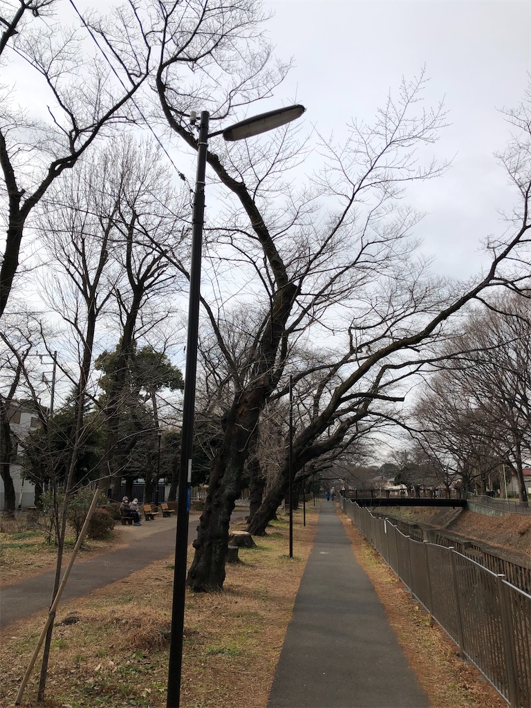 f:id:tharamoto:20220201174205j:image