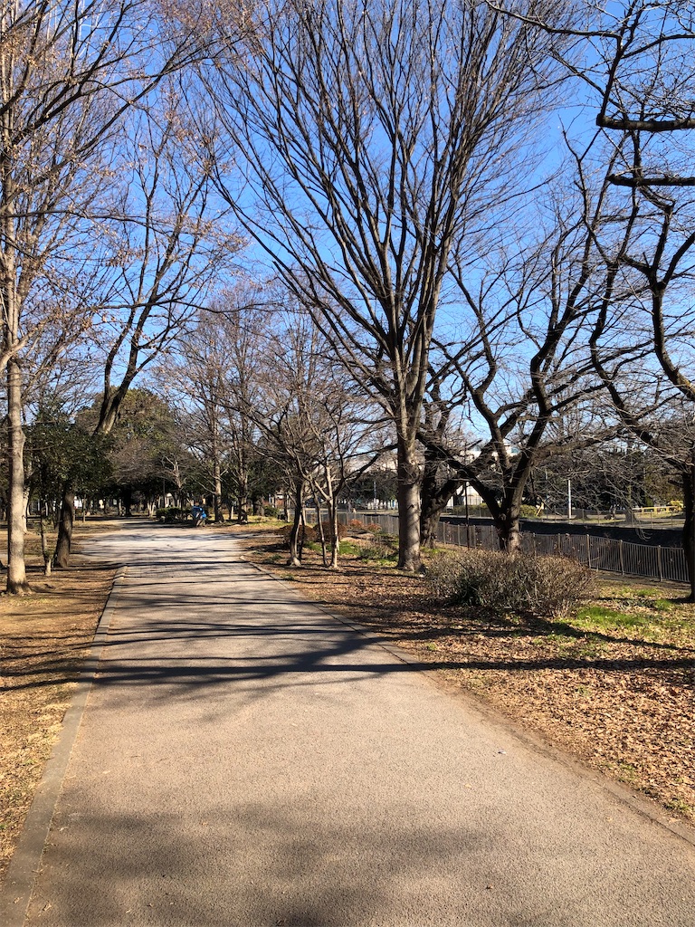 f:id:tharamoto:20220205190931j:image