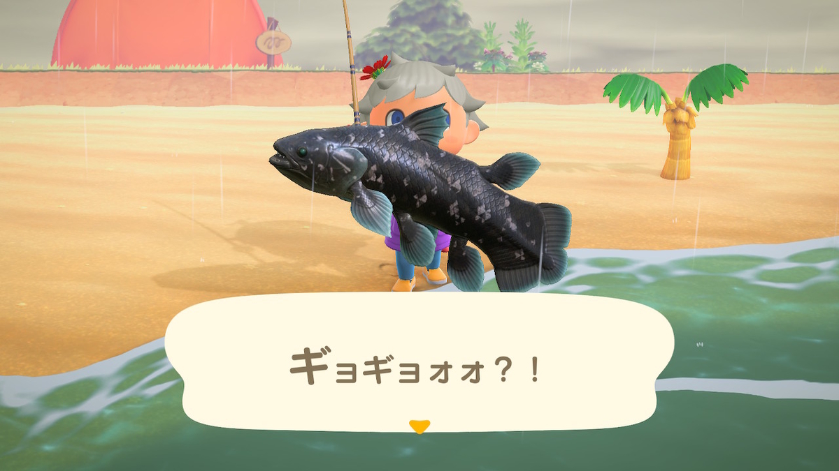 あつまれ どうぶつの森 キューブ島プレイ記録 シーラカンス タヌキ商店 はしご リアクション等 年3月22日 ゲーム Aの公開メモ帳 の様なサムシング