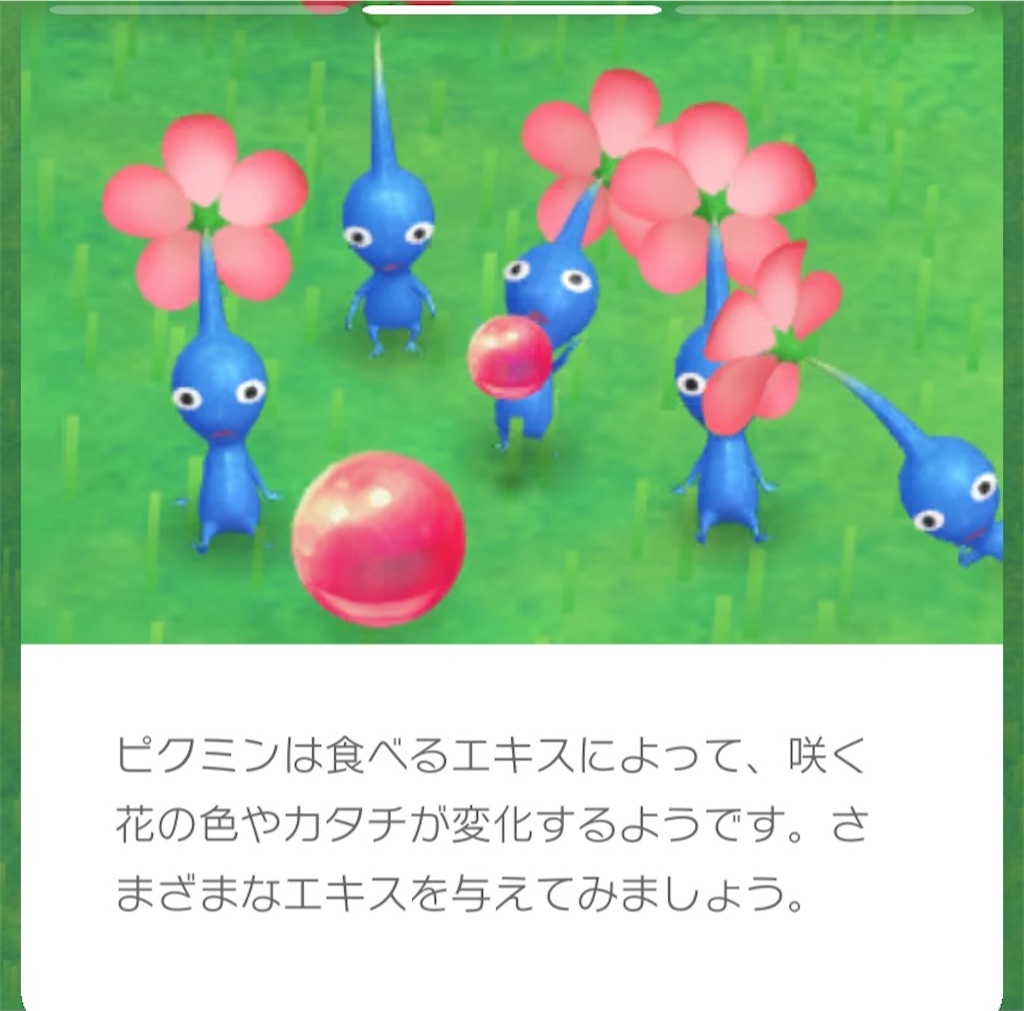 f:id:tharja_neftyscyther:20211101165622j:image