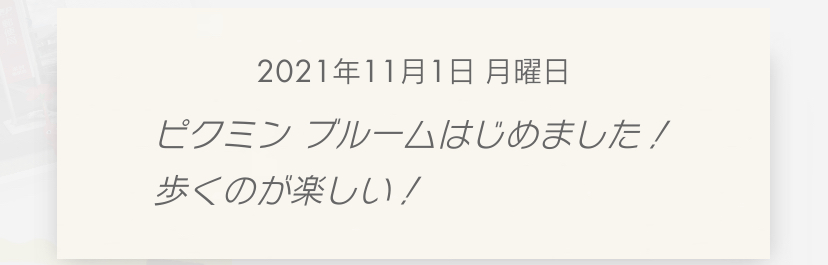 f:id:tharja_neftyscyther:20211101202322j:plain