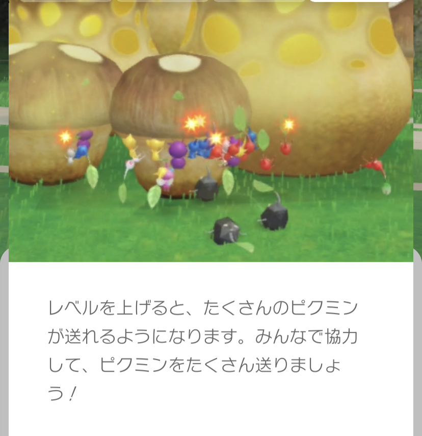 f:id:tharja_neftyscyther:20211103220151j:plain