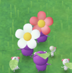 f:id:tharja_neftyscyther:20211103225150j:plain