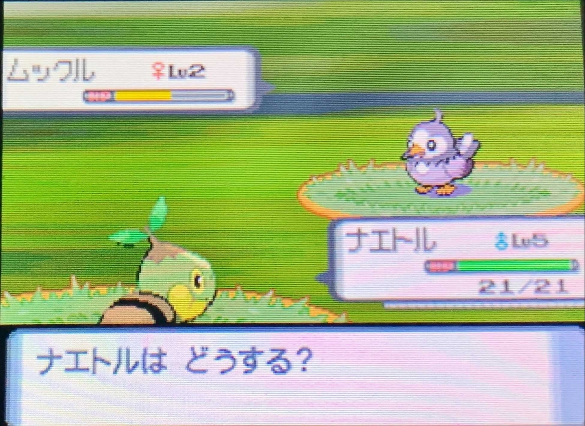 f:id:tharja_neftyscyther:20211120155900j:plain