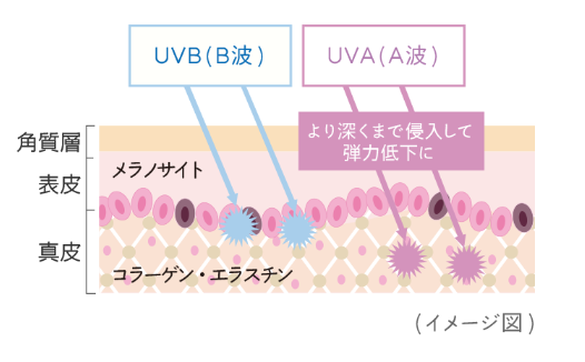 f:id:tharuka87:20190213233049p:plain