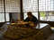 f:id:thata:20050219084326:image:small