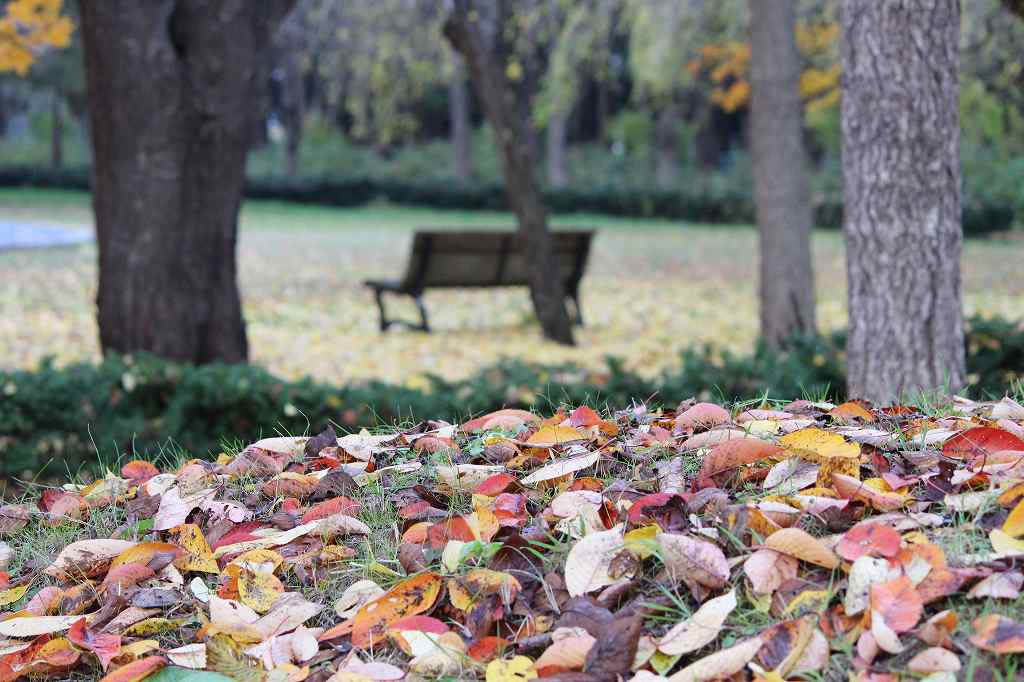 f:id:the-1taizee60h8:20201108205017j:plain