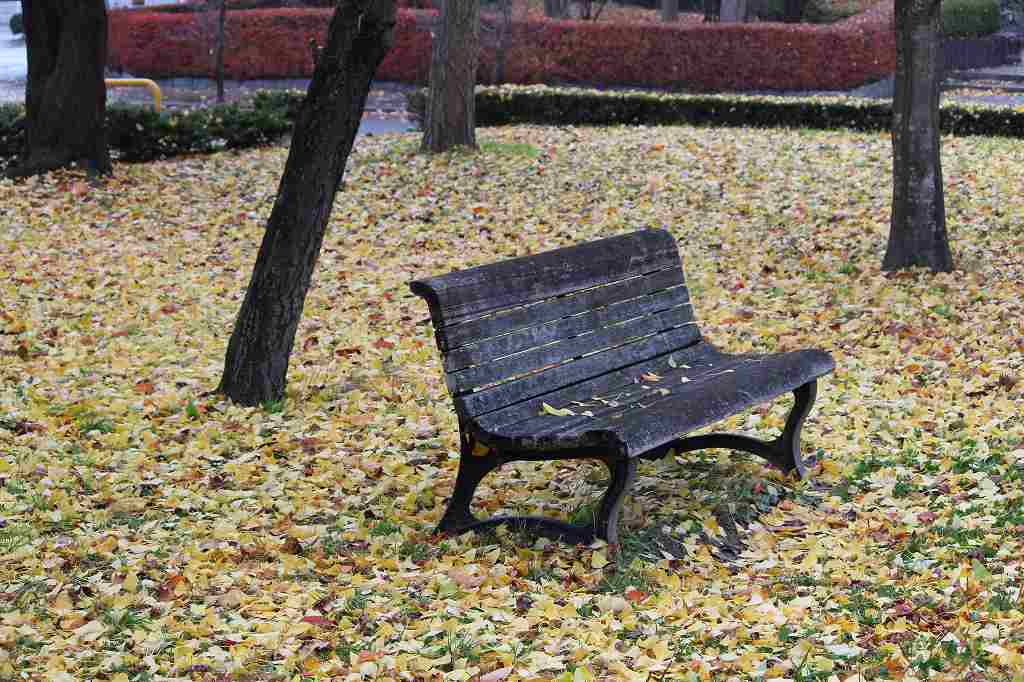 f:id:the-1taizee60h8:20201108212515j:plain