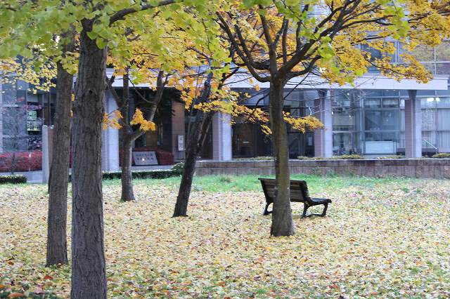 f:id:the-1taizee60h8:20201108212555j:plain