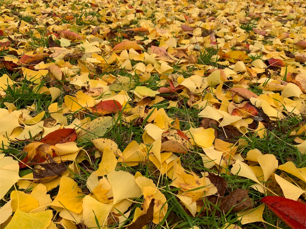 f:id:the-1taizee60h8:20201108214206j:image