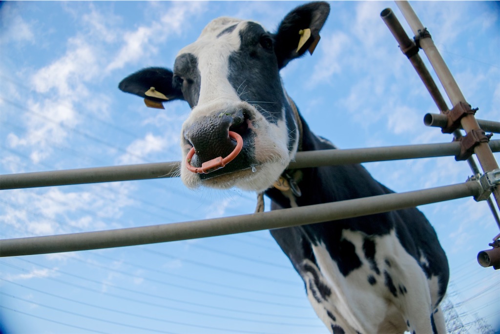 f:id:the-1taizee60h8:20210106061104j:image