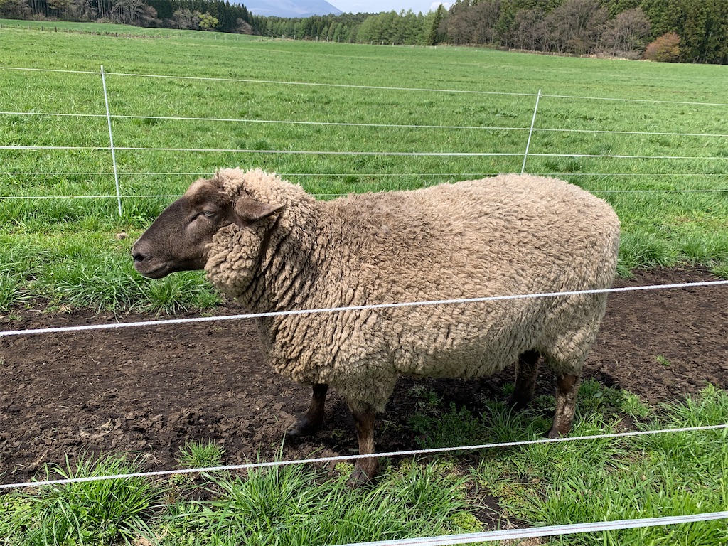 f:id:the-1taizee60h8:20210505044701j:image