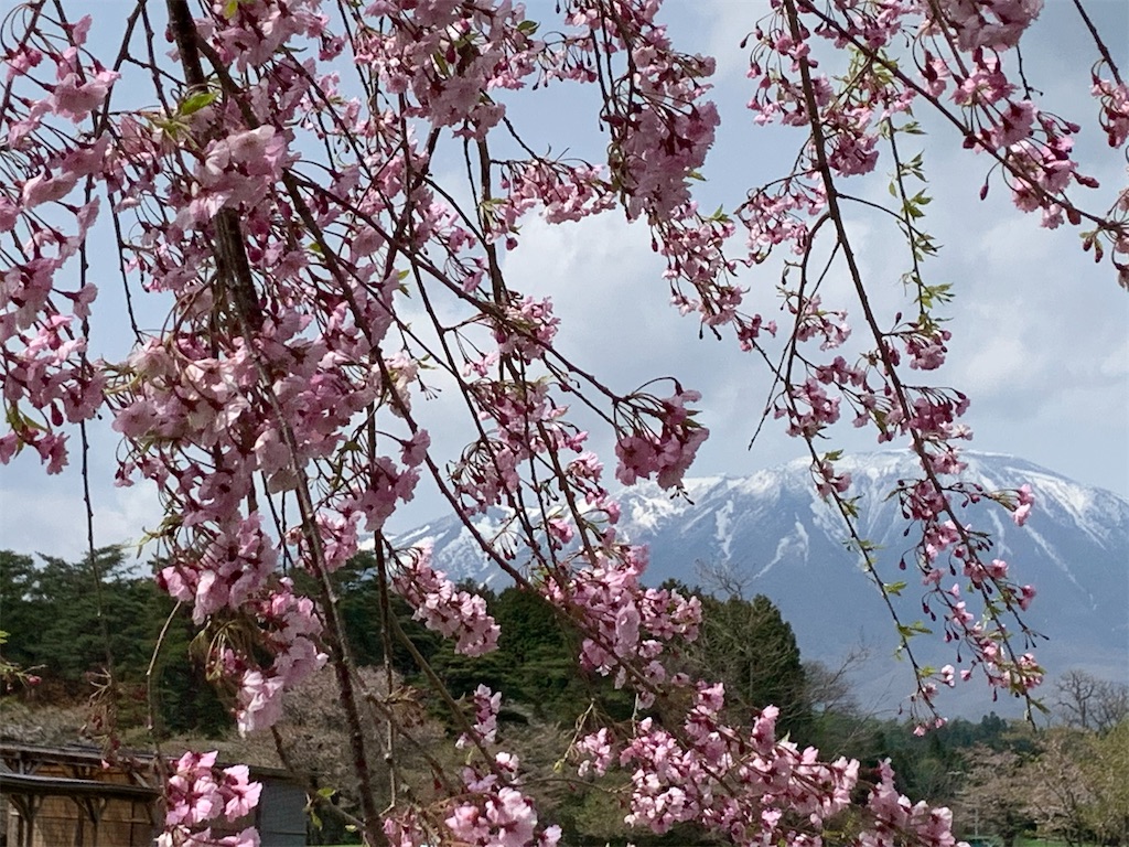 f:id:the-1taizee60h8:20210505045531j:image