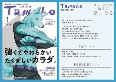 キミと越えて恋になる 1巻〜6巻 8巻 Amazon.co.jp: キミと越えて恋になる 1 (マーガレットコミックス